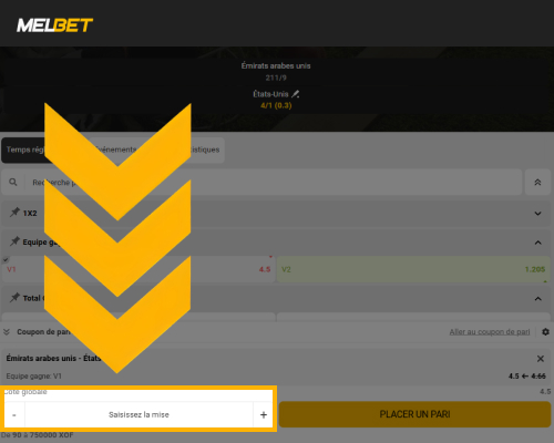 Saisie du montant de la mise sur le cricket Melbet